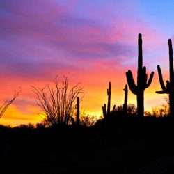 Take in the beauty of the amazing sunsets on a Mission Trip or Pilgrimage to Arizona with Wonder Voyage.