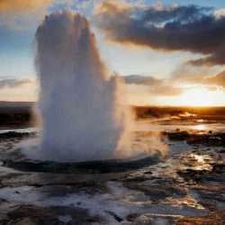 iStock_000016118551Small