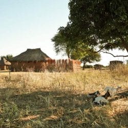 iStock_000020706057Small