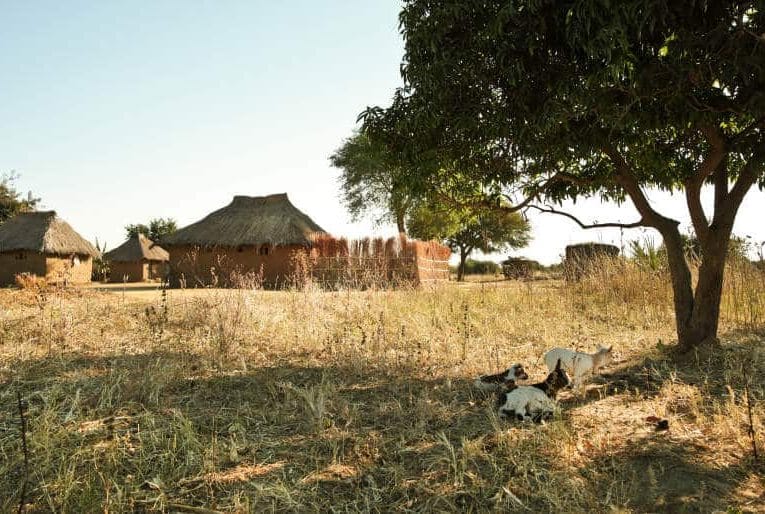 iStock 000020706057Small