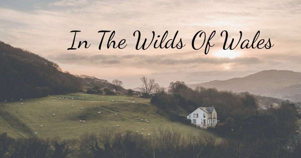 Wonder Moment: In The Wilds Of Wales In the Wilds of Wales