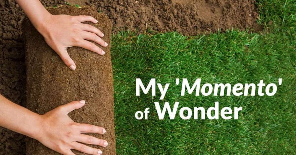 My ‘Momento’ of Wonder