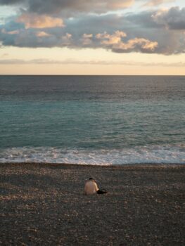 person sitting on rocky beach at sunset
