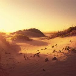 South Padre Island Sand Dunes