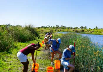 team volunteering at tampa bay estuary program