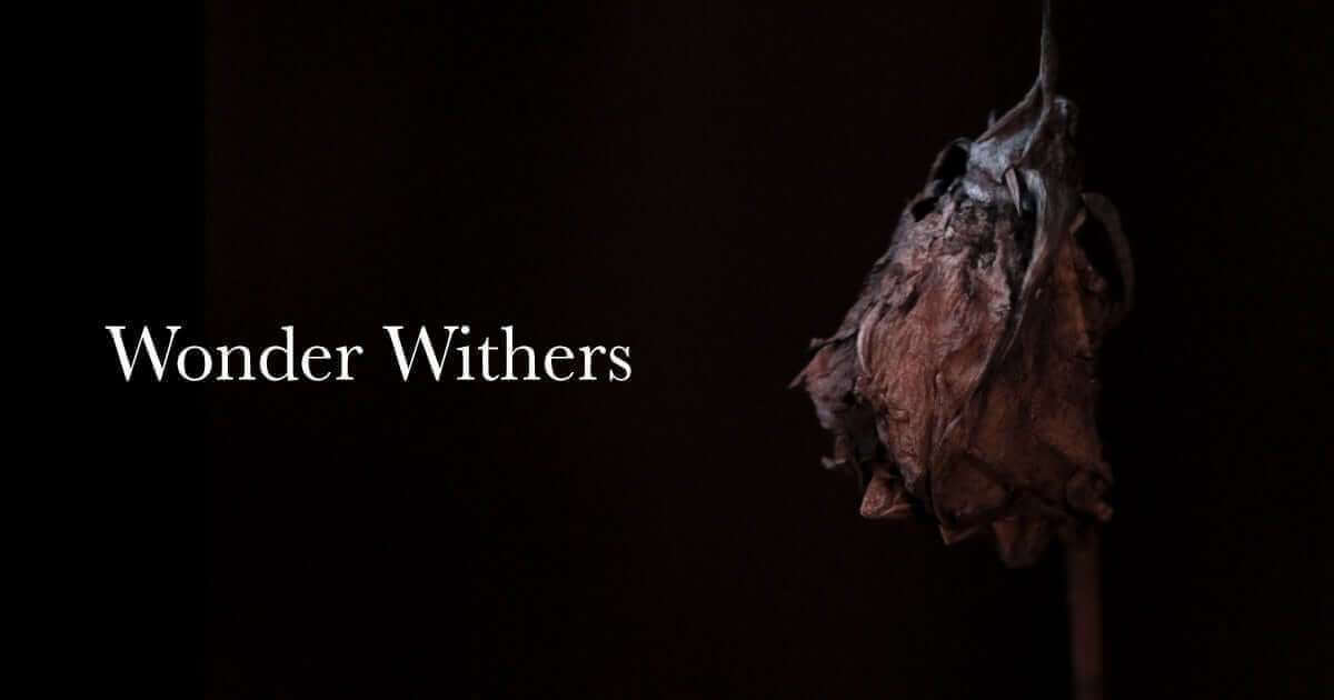 Finding Wonder Everyday: Wonder Withers Finding Wonder Everyday: Wonder Withers